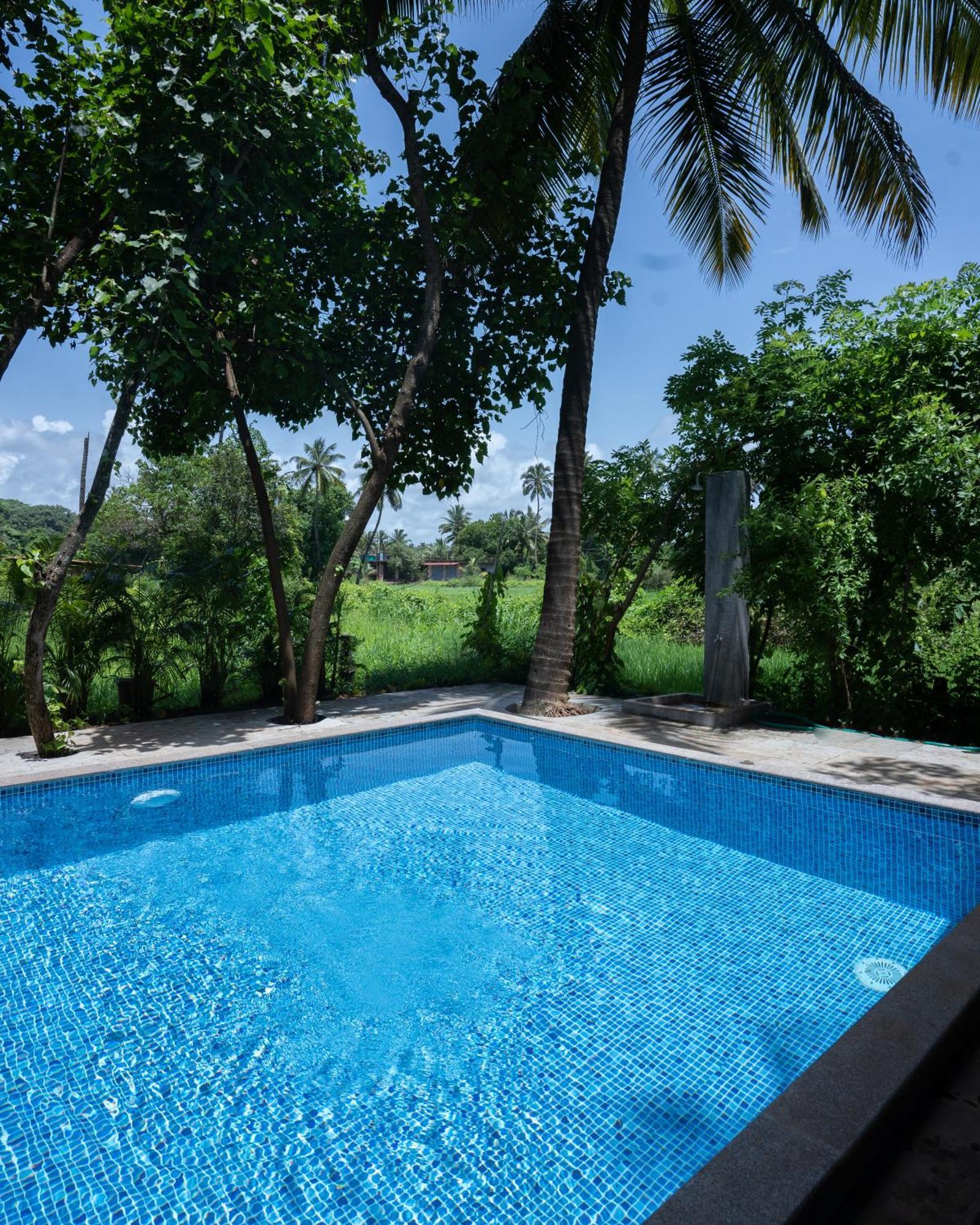 Lotus Feet Beach Resort Morjim Exterior photo